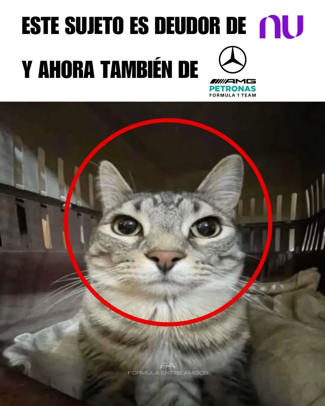 Post 3 by Formula Entre Amigos on Instagram (image)