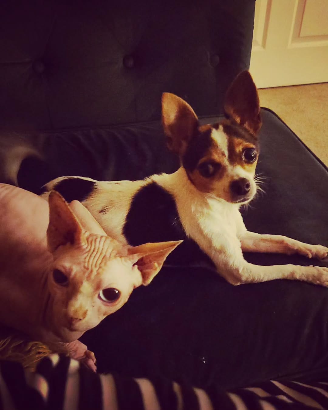 Post 5 by Steve on Instagram (image)