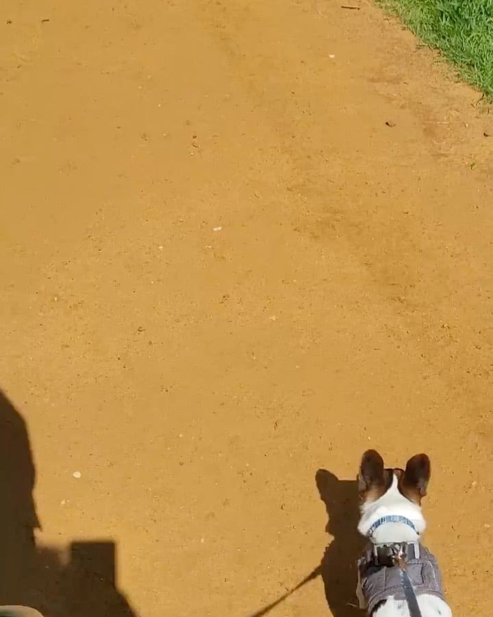 Post 9 by Steve on Instagram (video)