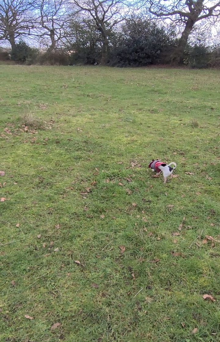 Post 10 by Steve on Instagram (video)
