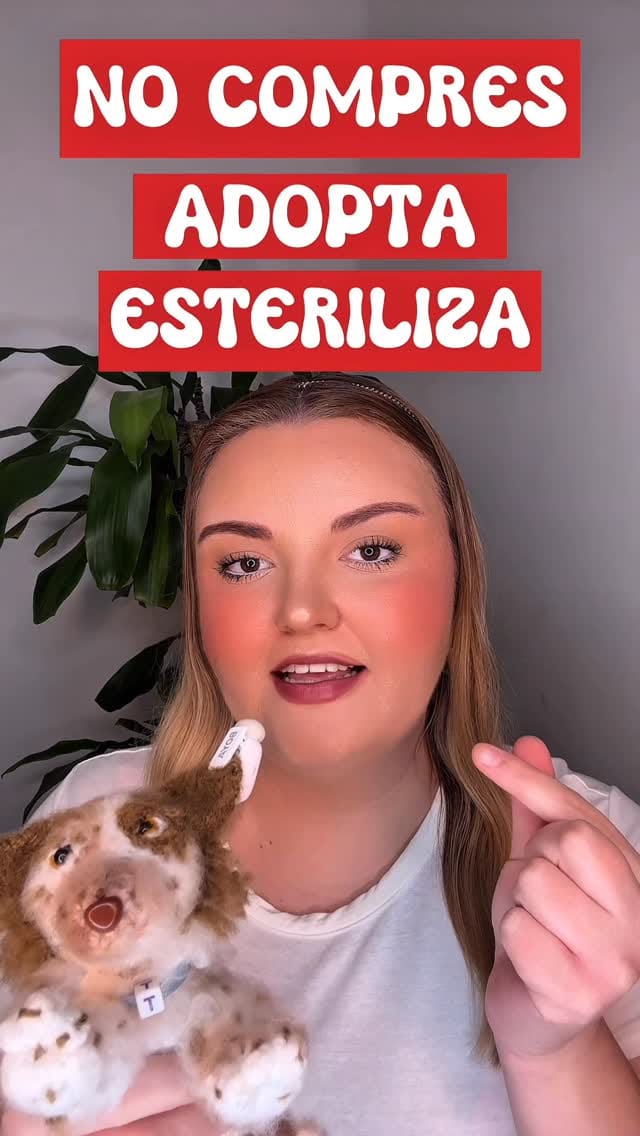 Post 5 by Andrea Romero 💖 on Instagram (video)