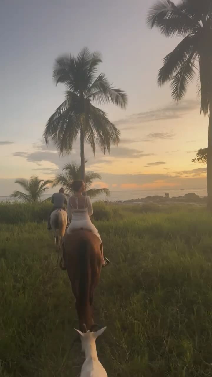 Post 1 by Kasia Tręda on Instagram (video)
