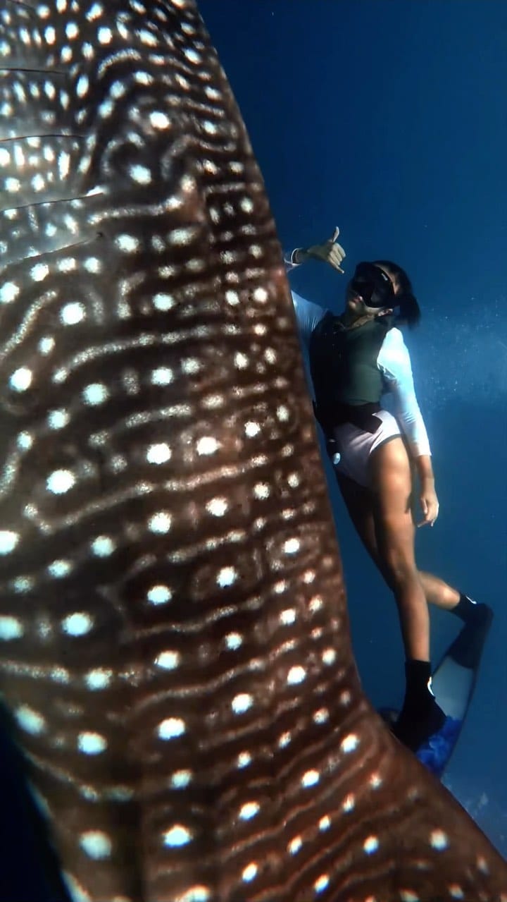 Post 10 by Mauren🐯🌊 on Instagram (video)