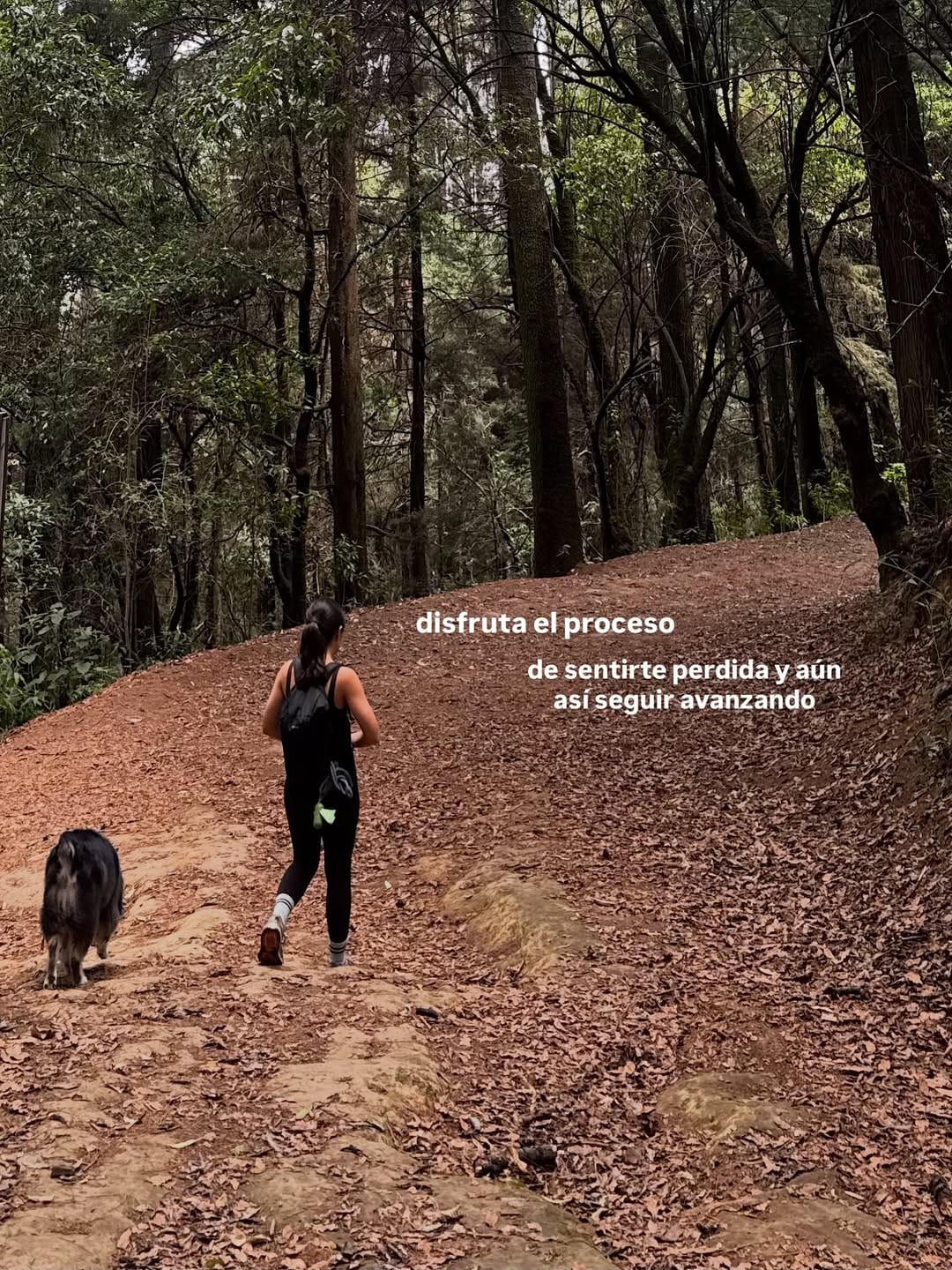 Post 9 by Ximena Zalvidea on Instagram (carousel)