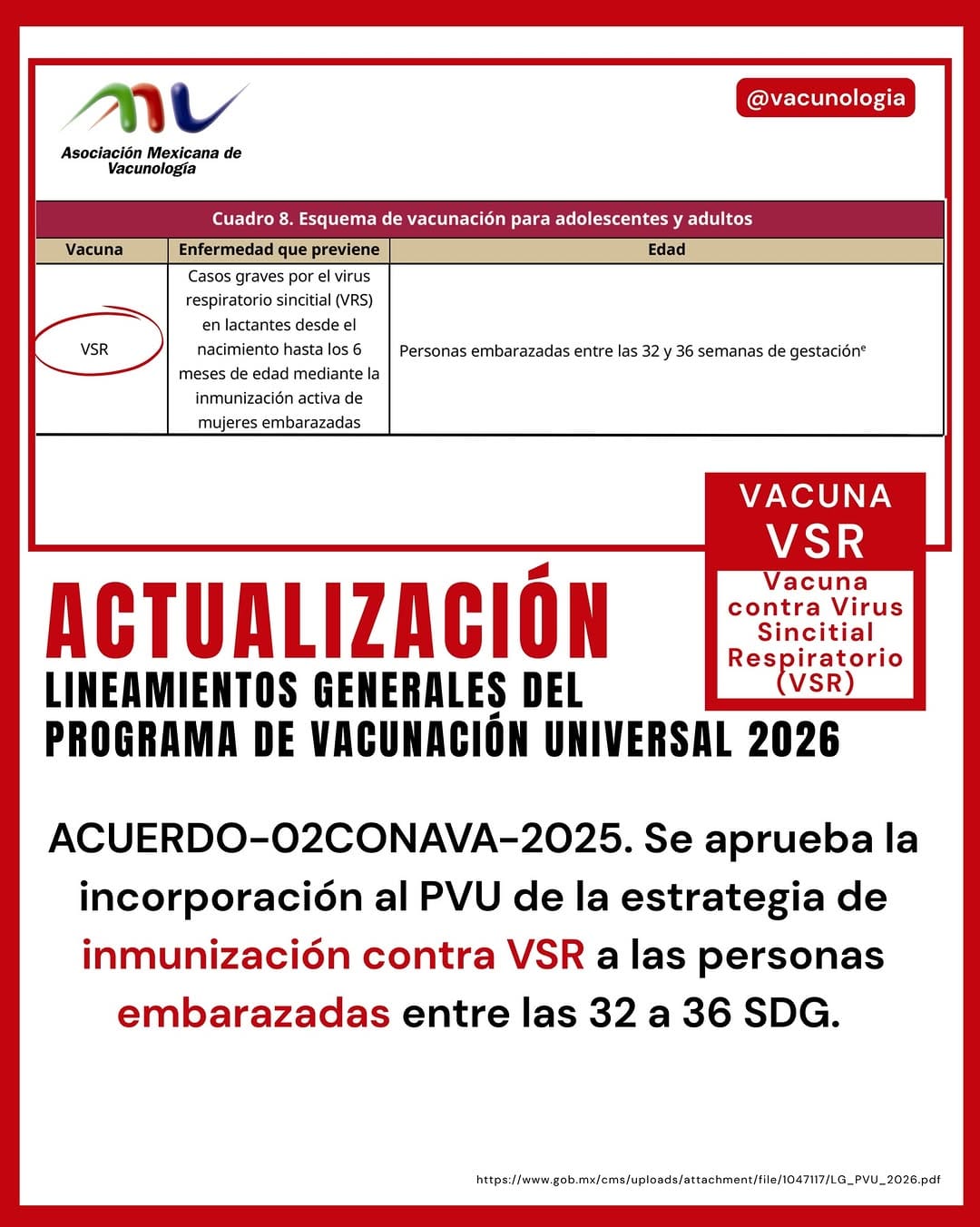 Post 6 by Asociación Mexicana de Vacunología on Instagram (image)