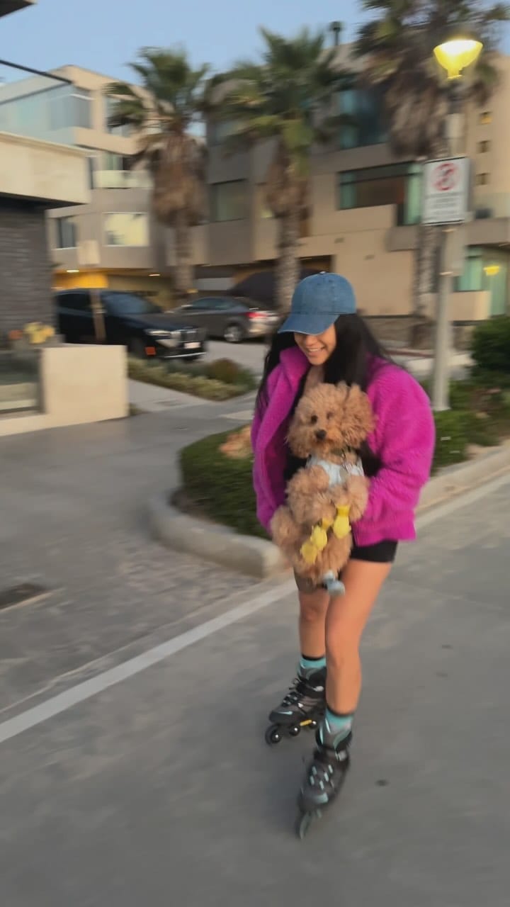 Post 3 by F1b Mini Goldendoodle on Instagram (video)