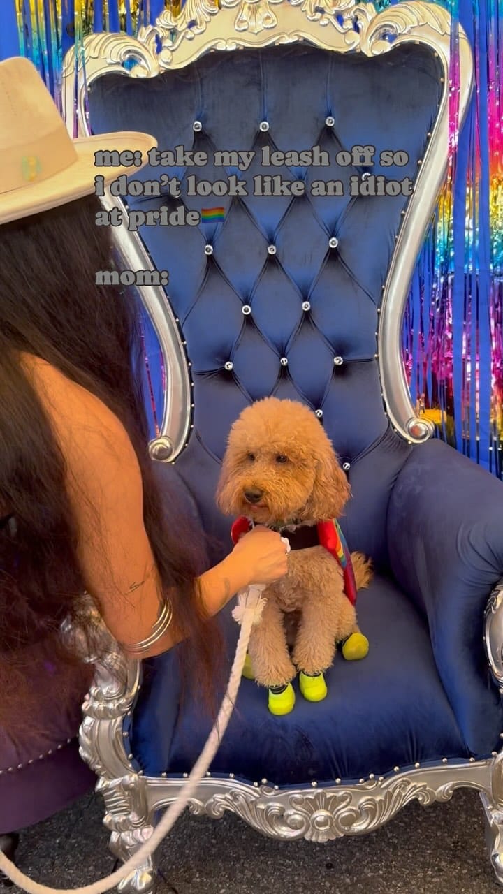 Post 6 by F1b Mini Goldendoodle on Instagram (video)