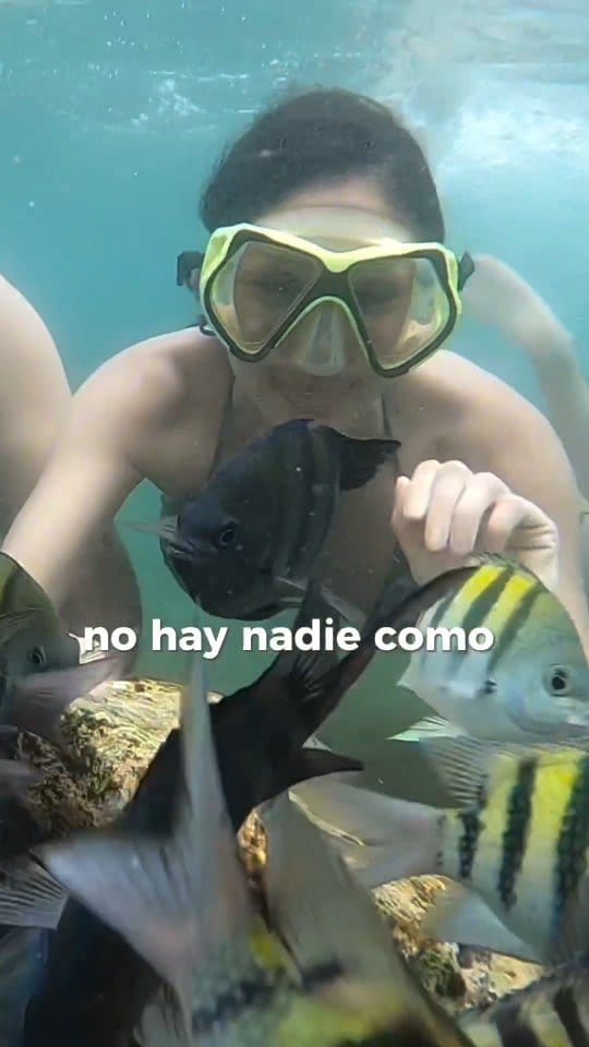 Post 7 by Andy Buenaver on Instagram (video)