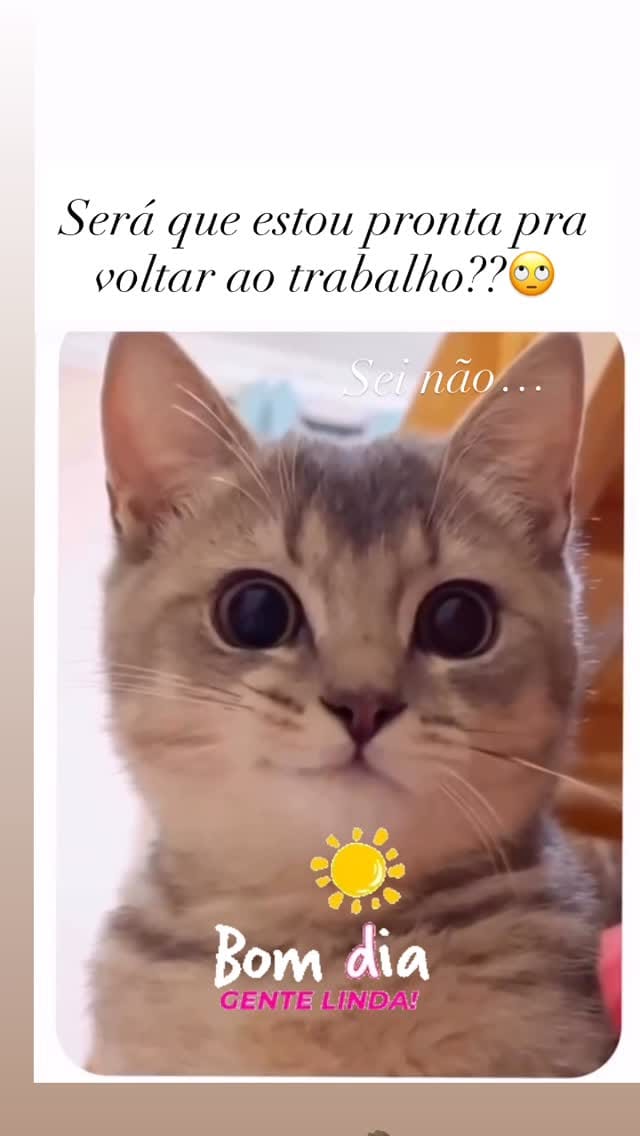 Post 1 by Rosa Maria Sachetti on Instagram (video)