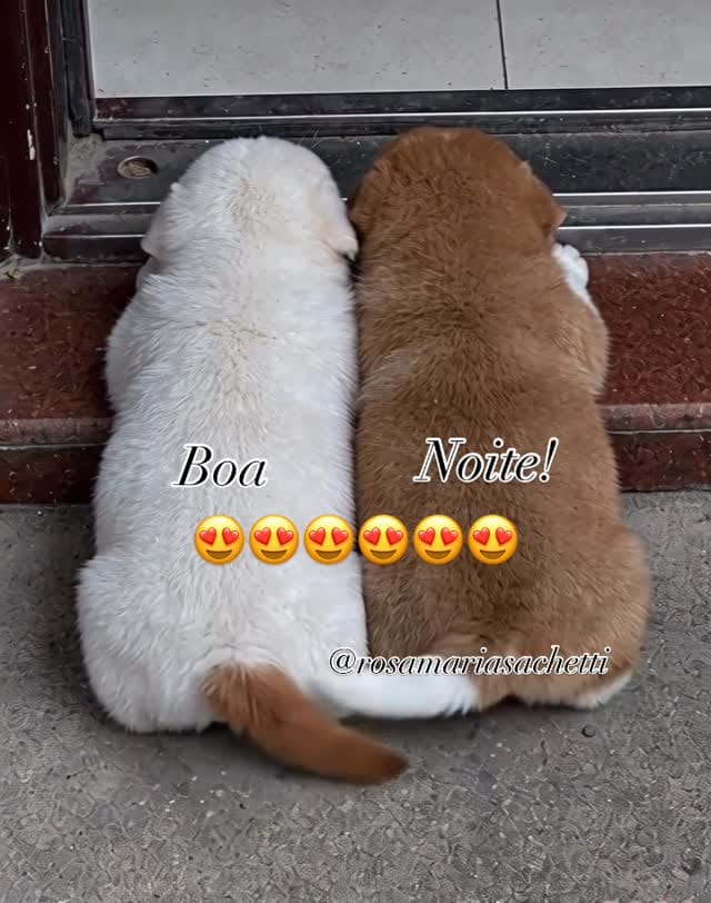 Post 2 by Rosa Maria Sachetti on Instagram (video)