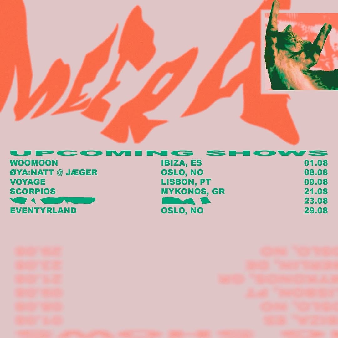 Post 9 by meow on Instagram (image)