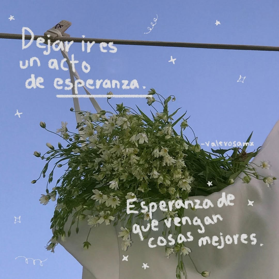 Post 1 by Valerosa on Instagram (image)