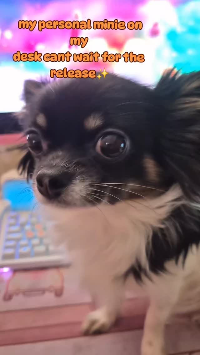 Post 2 by 𝔸𝕟𝕘𝕖𝕝𝕚𝕟𝕒 ☆ on Instagram (video)