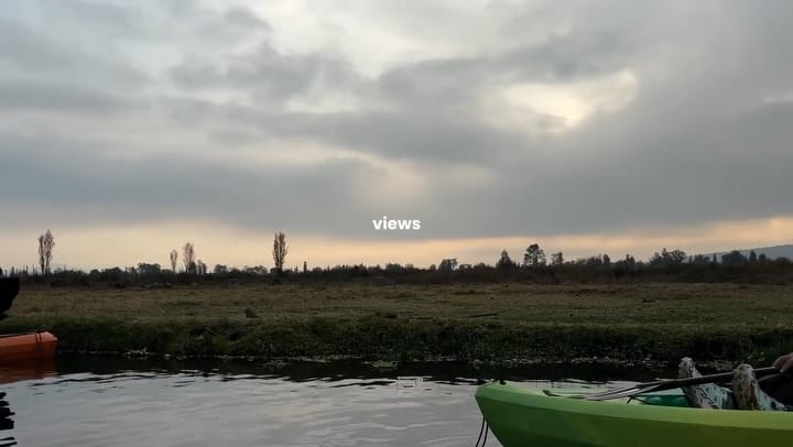 Post 5 by Renata González 🫧 on Instagram (video)