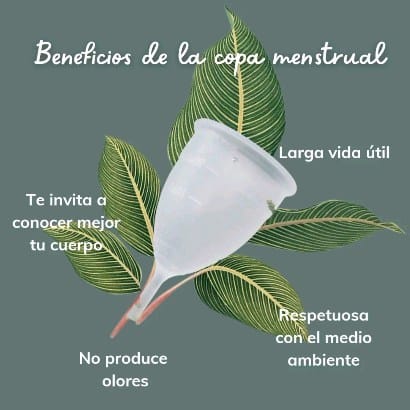 Post 6 by Soy Ella Copa Menstrual on Instagram (video)