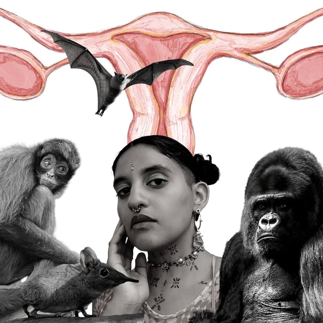 Post 7 by Soy Ella Copa Menstrual on Instagram (image)