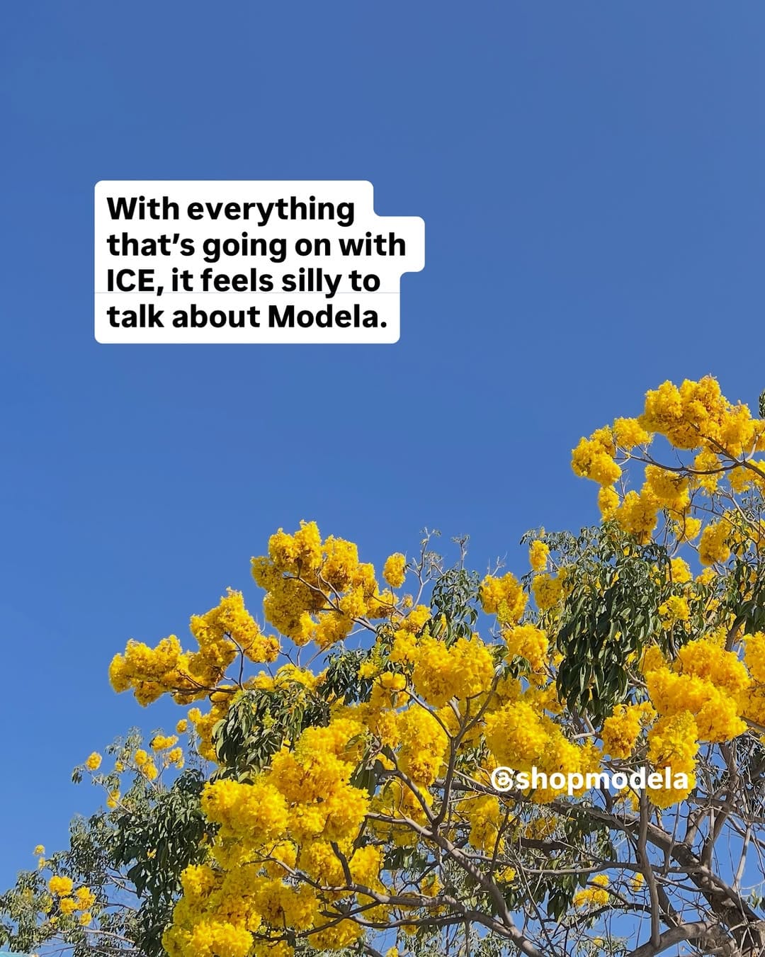 Post 1 by Modela on Instagram (carousel)