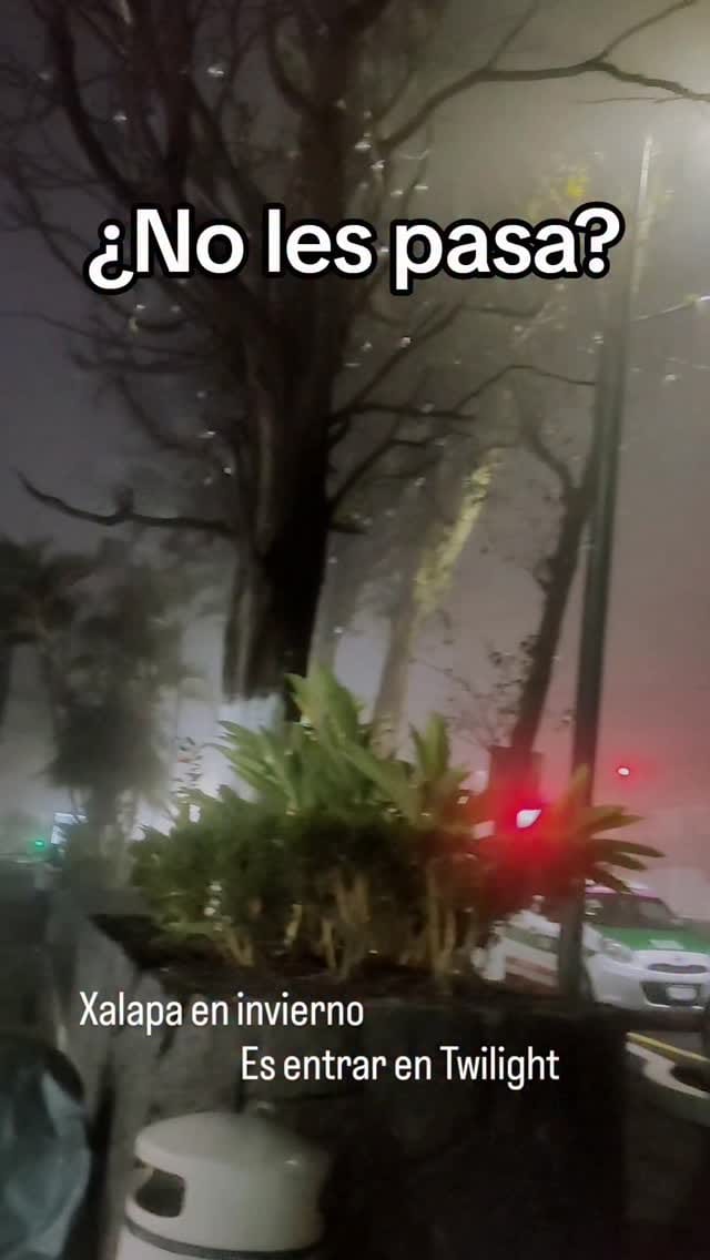 Post 5 by Gamma Volantis on Instagram (video)
