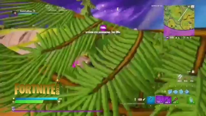Post 9 by Fortnite México on Instagram (video)