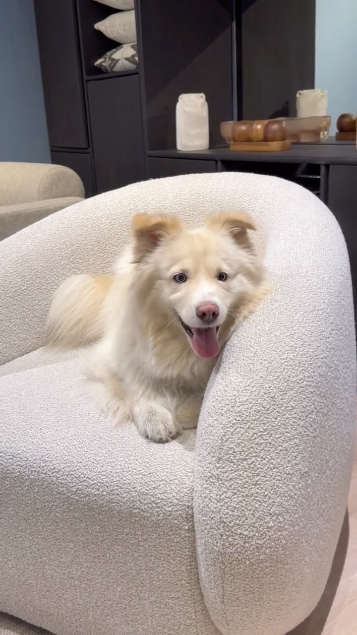 Post 8 by Diámetro Muebles®️ on Instagram (video)