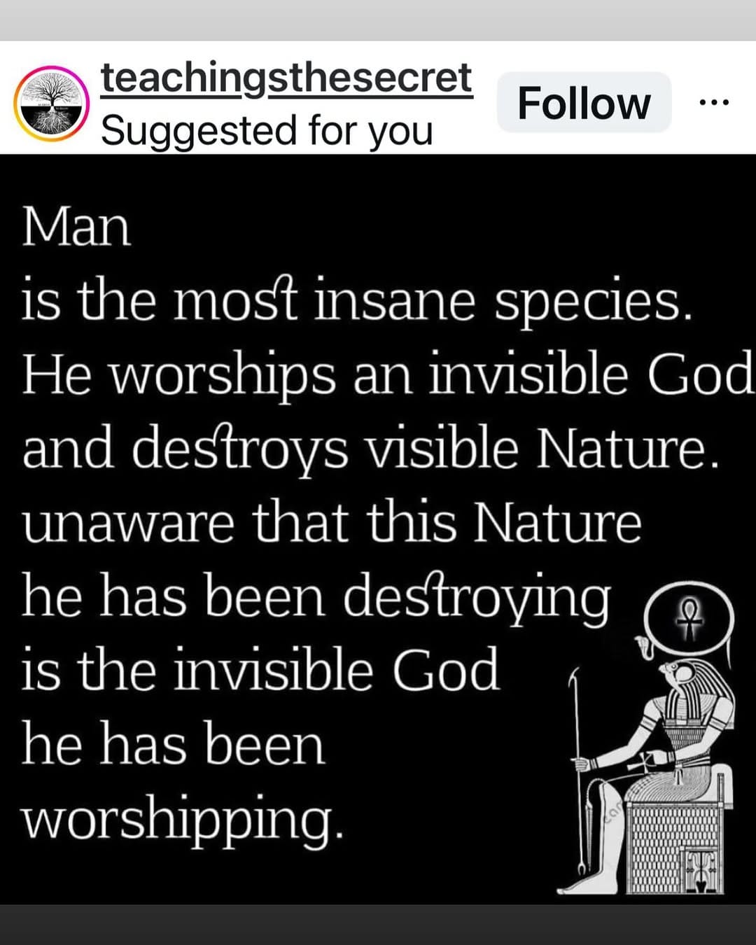 Post 6 by Leonard Tachmes MD on Instagram (image)