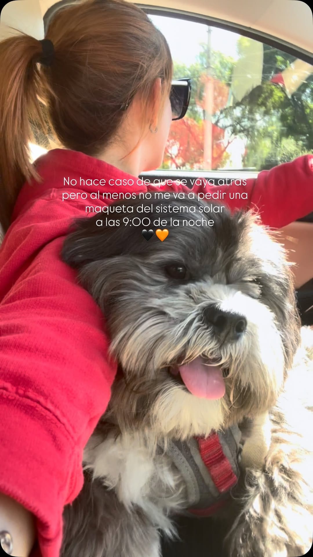 Post 3 by Sabrina🌙 LIFESTYLE on Instagram (video)