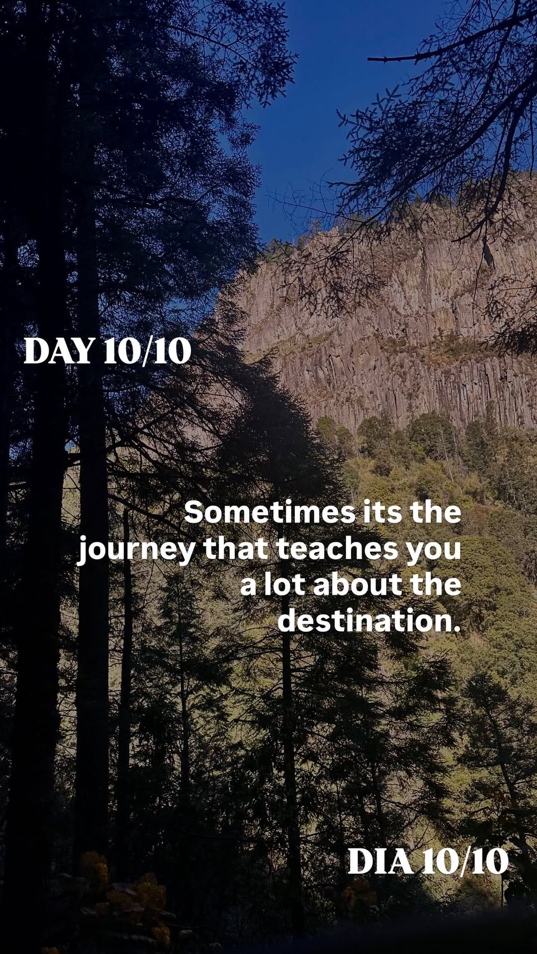 Post 9 by Marcela Rodriguez Blanco on Instagram (video)
