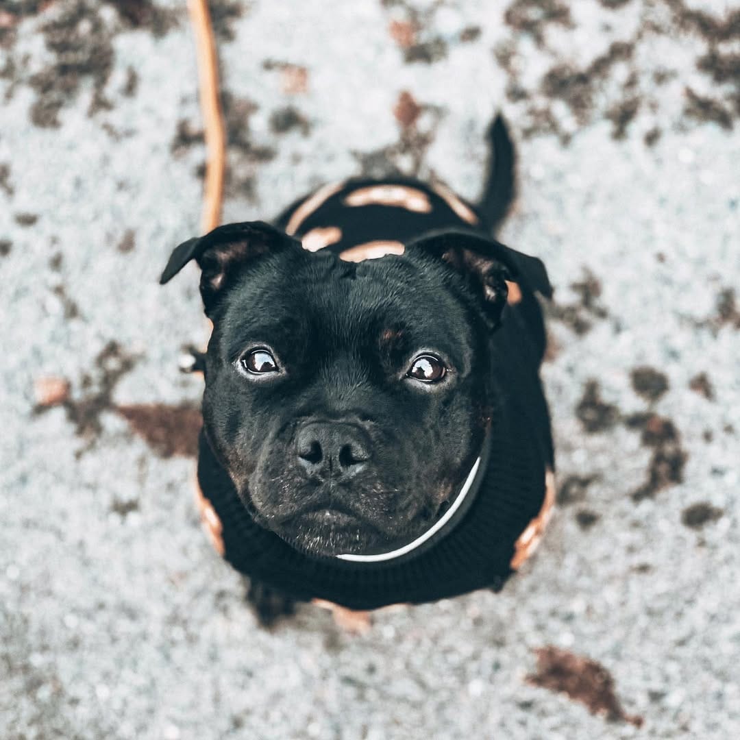 Post 7 by Nelly aka. Royal Castle on Instagram (image)