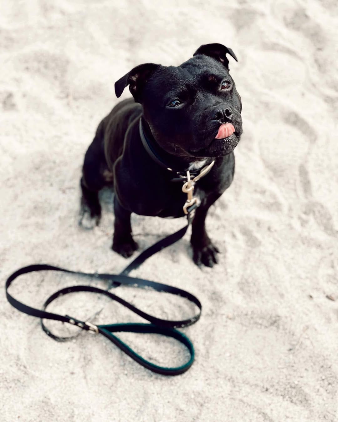 Post 10 by Nelly aka. Royal Castle on Instagram (image)