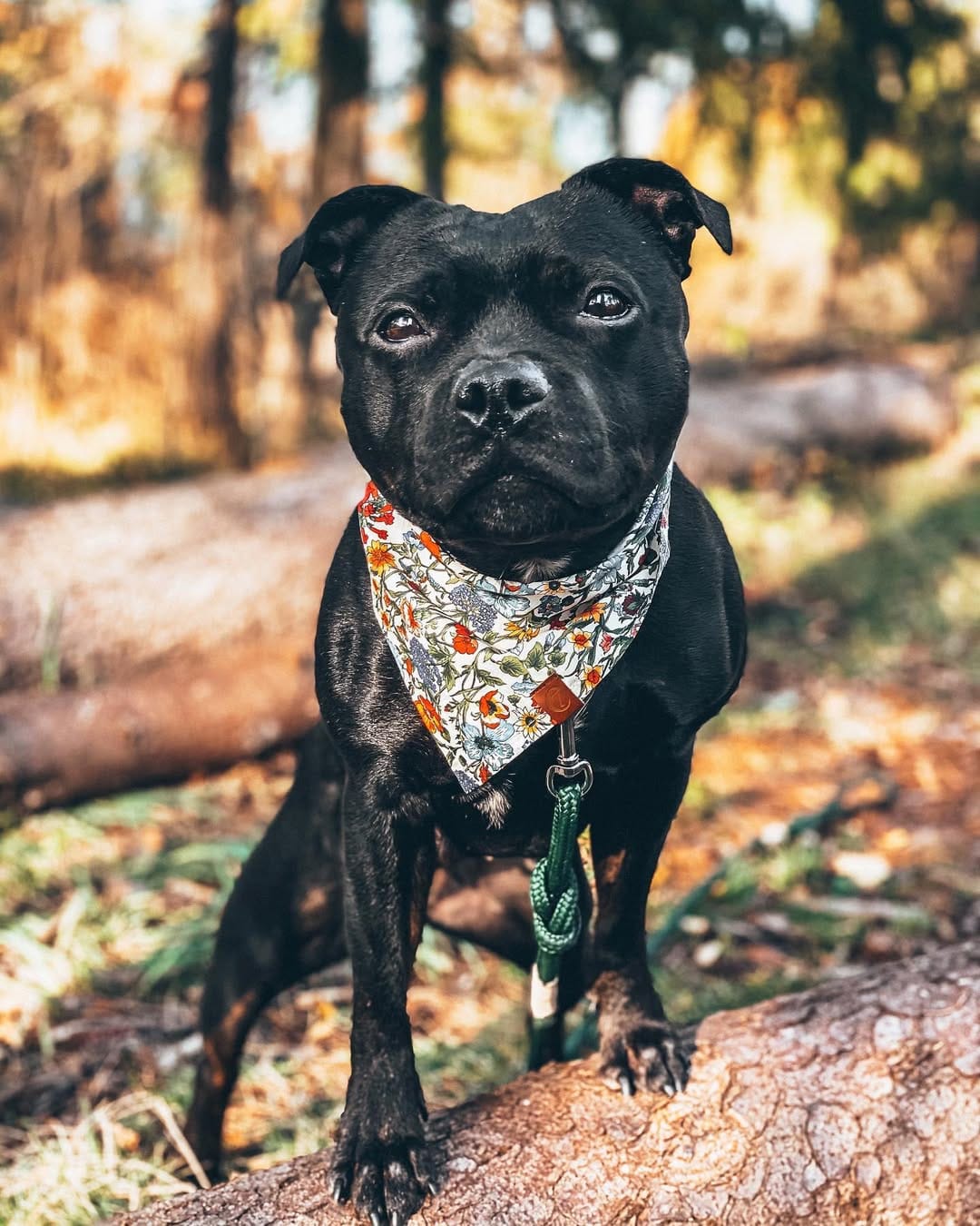 Post 8 by Nelly aka. Royal Castle on Instagram (image)