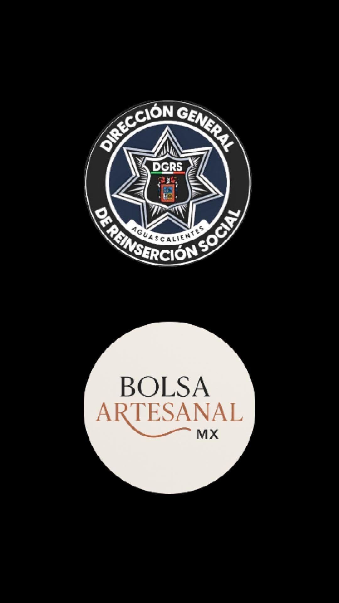 Post 7 by Bolsa Artesanal Mx on Instagram (video)