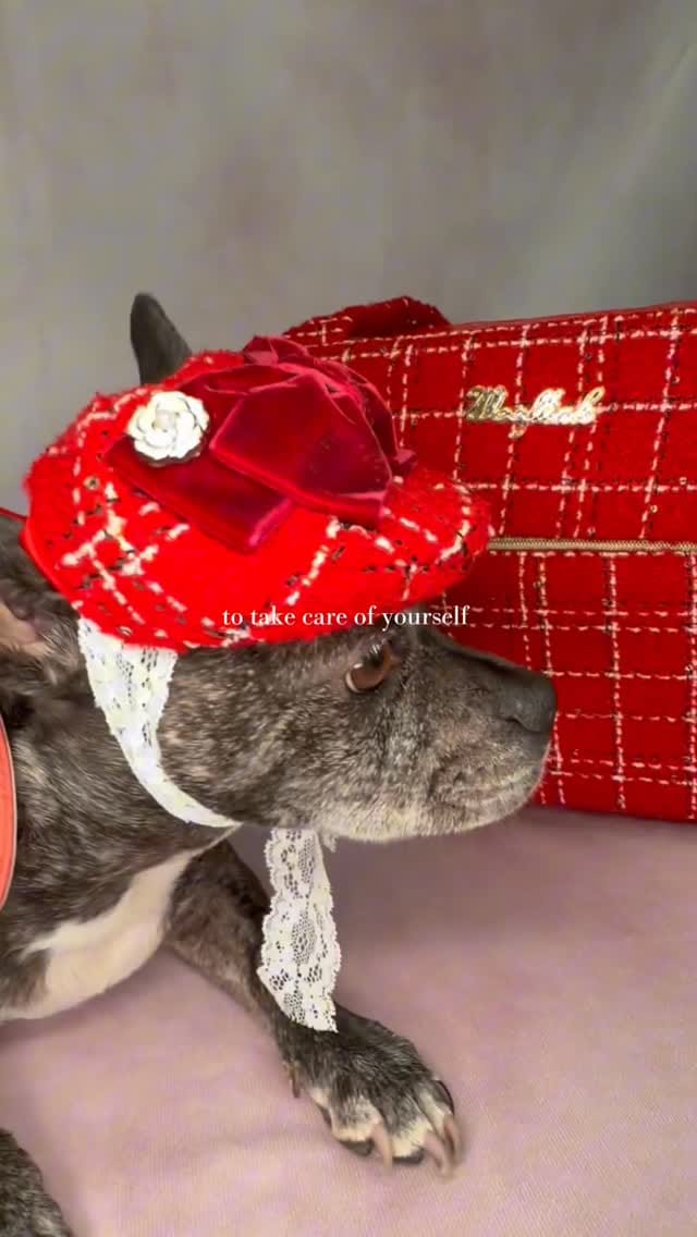 Post 3 by Posh Puppy Boutique on Instagram (video)