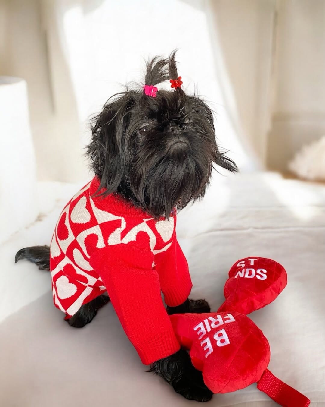 Post 2 by Posh Puppy Boutique on Instagram (carousel)
