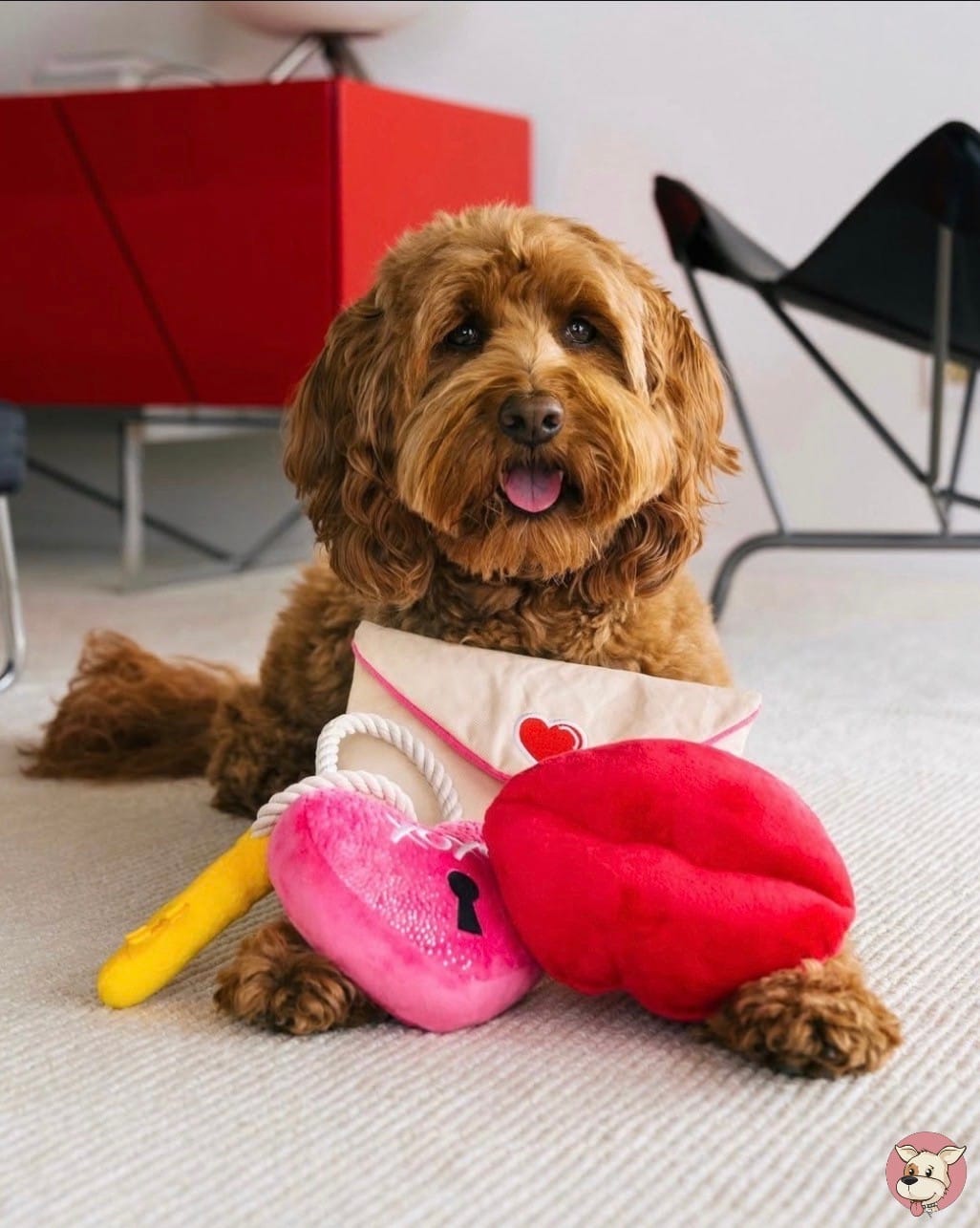 Post 6 by Posh Puppy Boutique on Instagram (image)