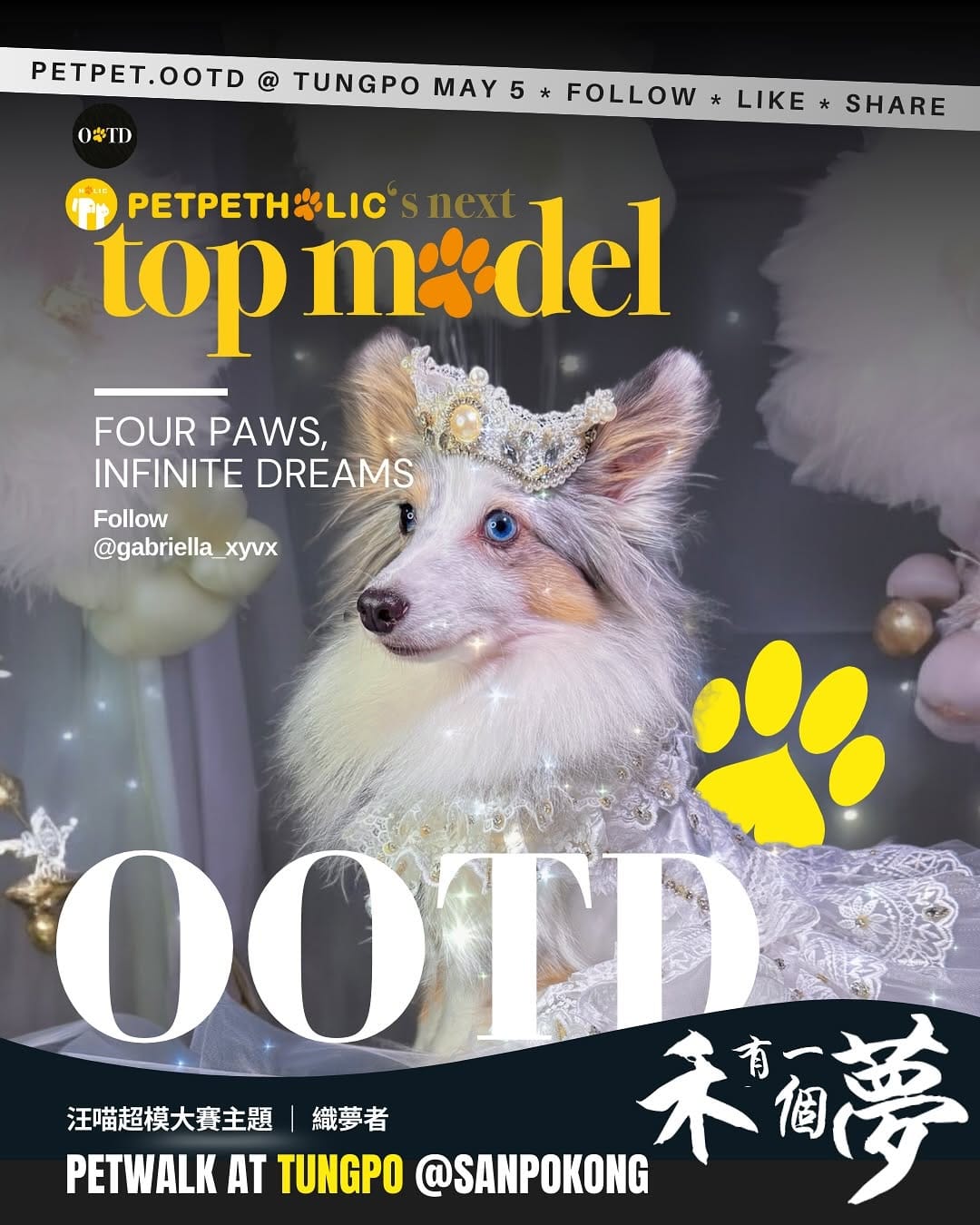 Post 1 by 💜GABRIELLA 軒轅嫣欣  🦊sheltie/rough collie on Instagram (carousel)