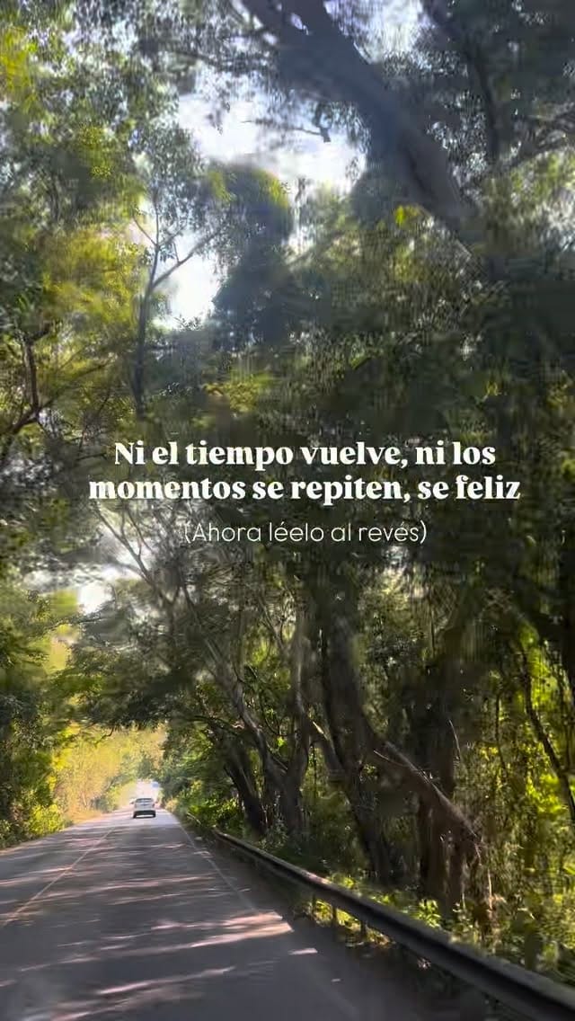 Post 5 by 𝓢𝓸𝓷𝓲𝓪 𝓑𝓮𝓷𝓲𝓽𝓮𝔃 on Instagram (video)