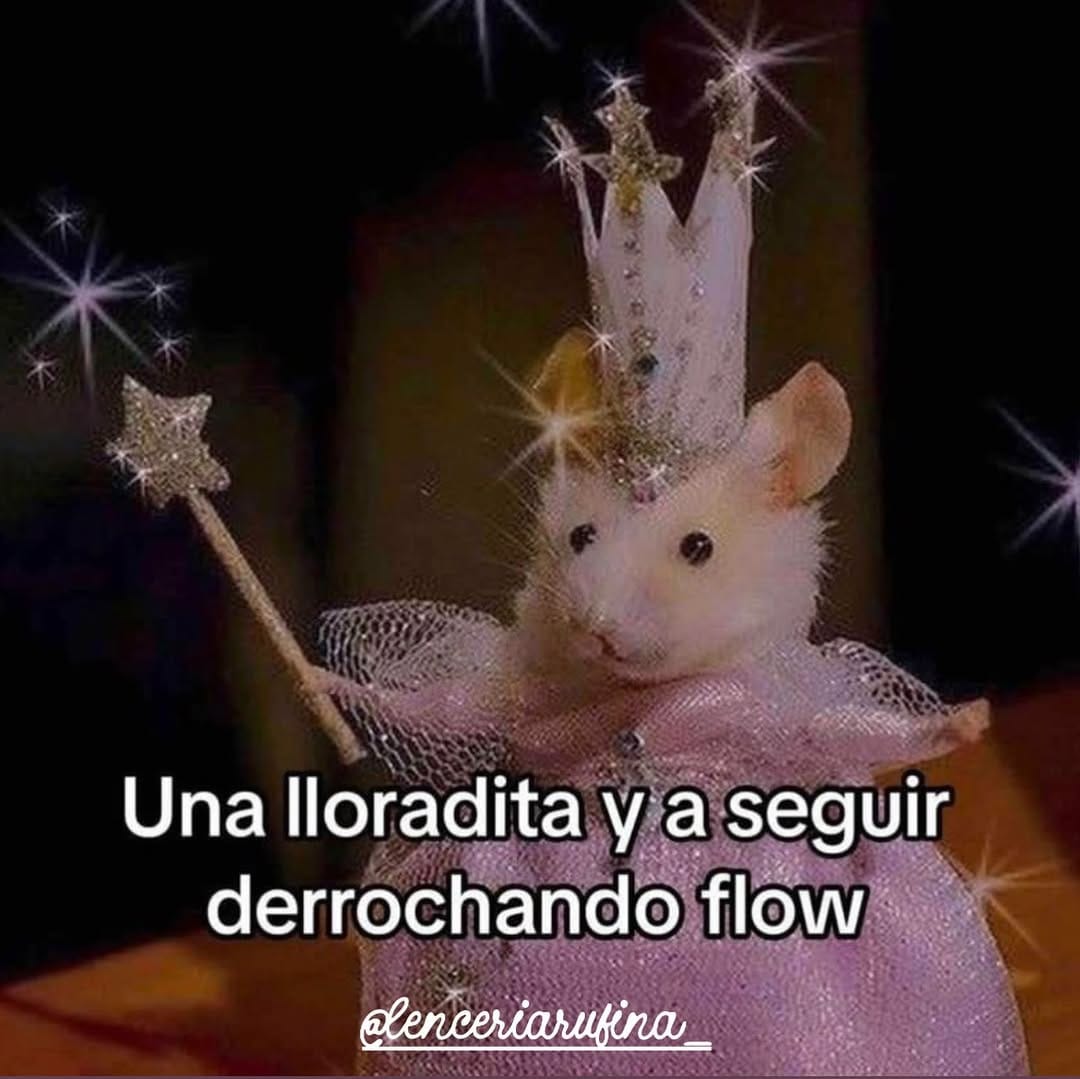 Post 8 by 𝐑𝐔𝐅𝐈𝐍𝐀 on Instagram (carousel)