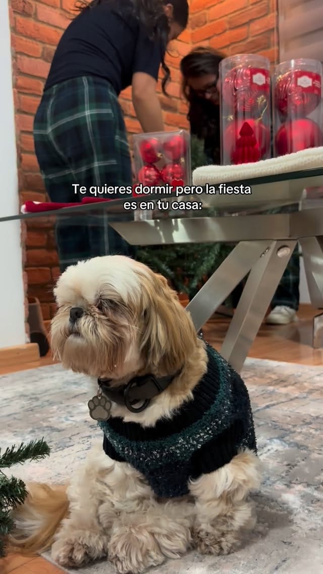 Post 10 by Karen Rc 🏳️‍🌈 on Instagram (video)