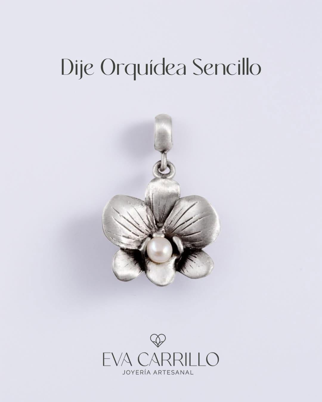 Post 10 by Joyas que Celebran la Vida en plata 925 on Instagram (image)