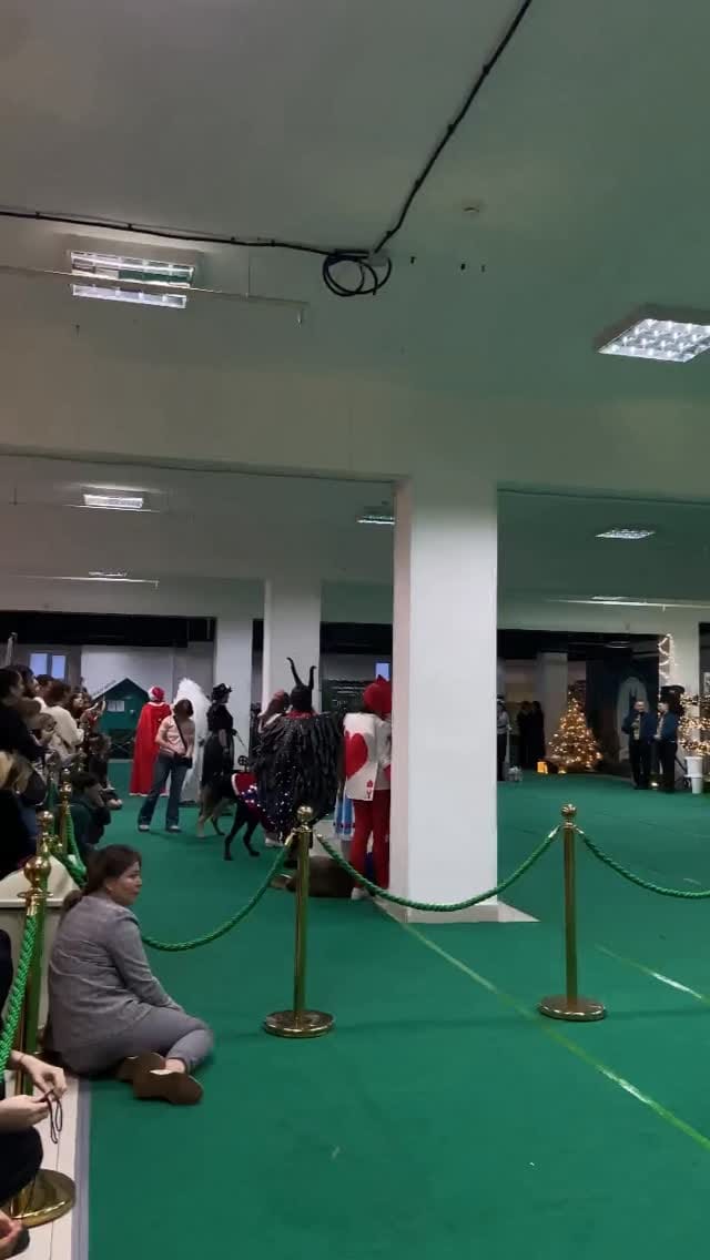 Post 1 by Lev Andreevich on Instagram (video)