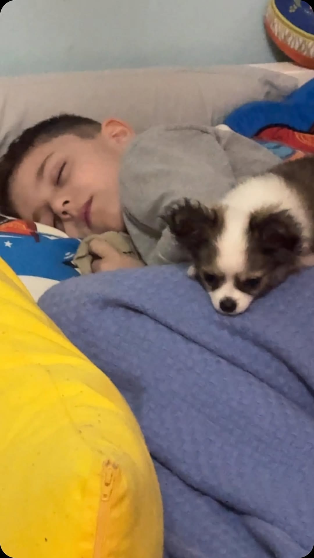 Post 2 by Ana Carolina / Mãe do Bento on Instagram (video)