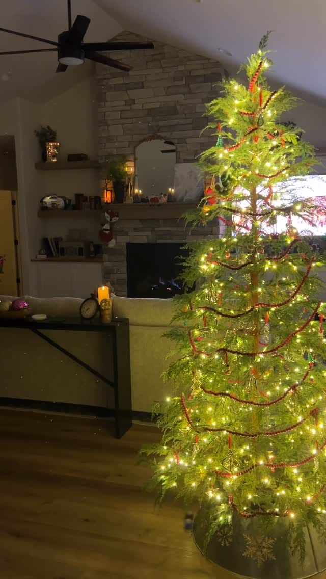 Post 2 by Sarah Sultemeier on Instagram (video)