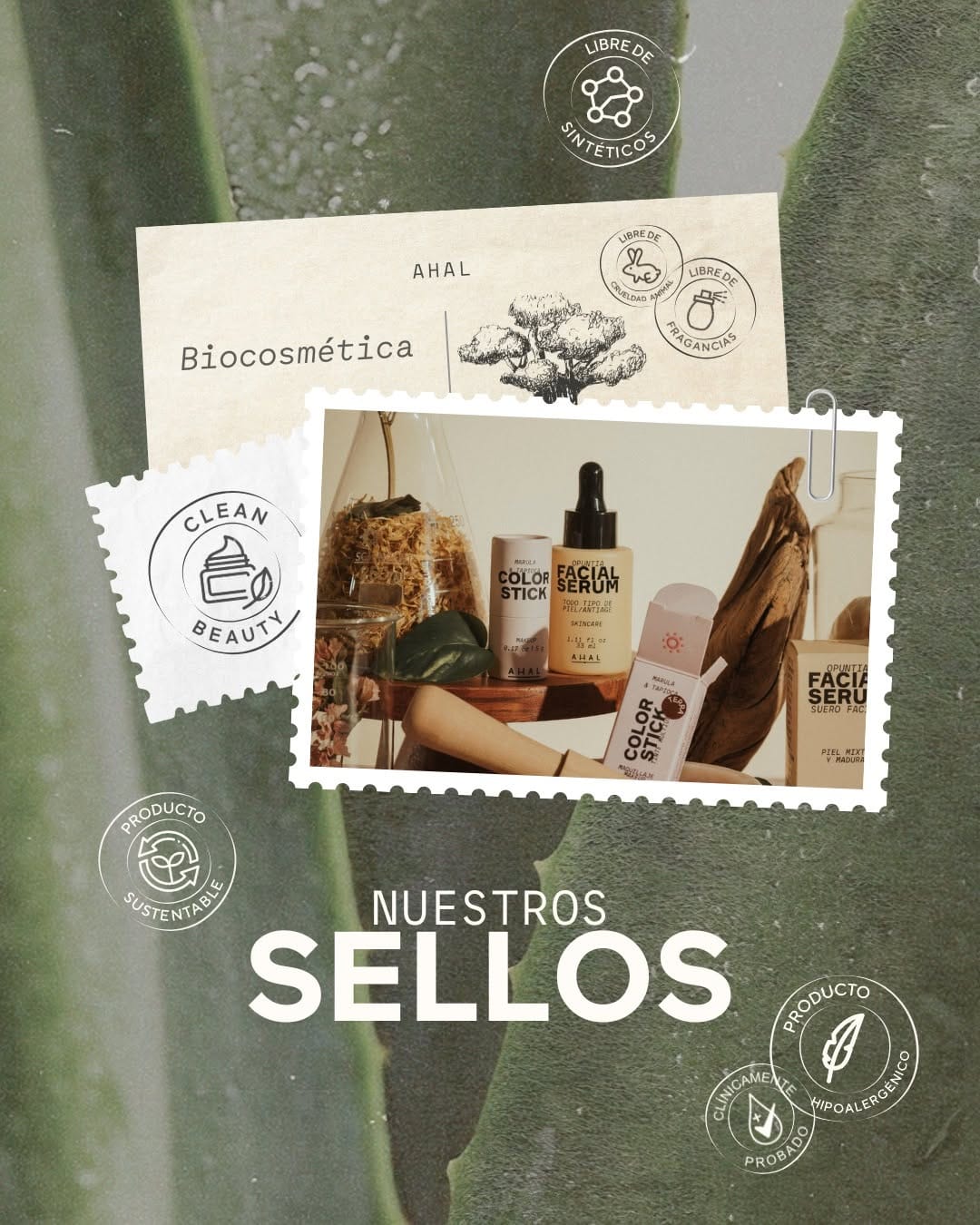 Post 1 by Ahal Biocosmética on Instagram (carousel)