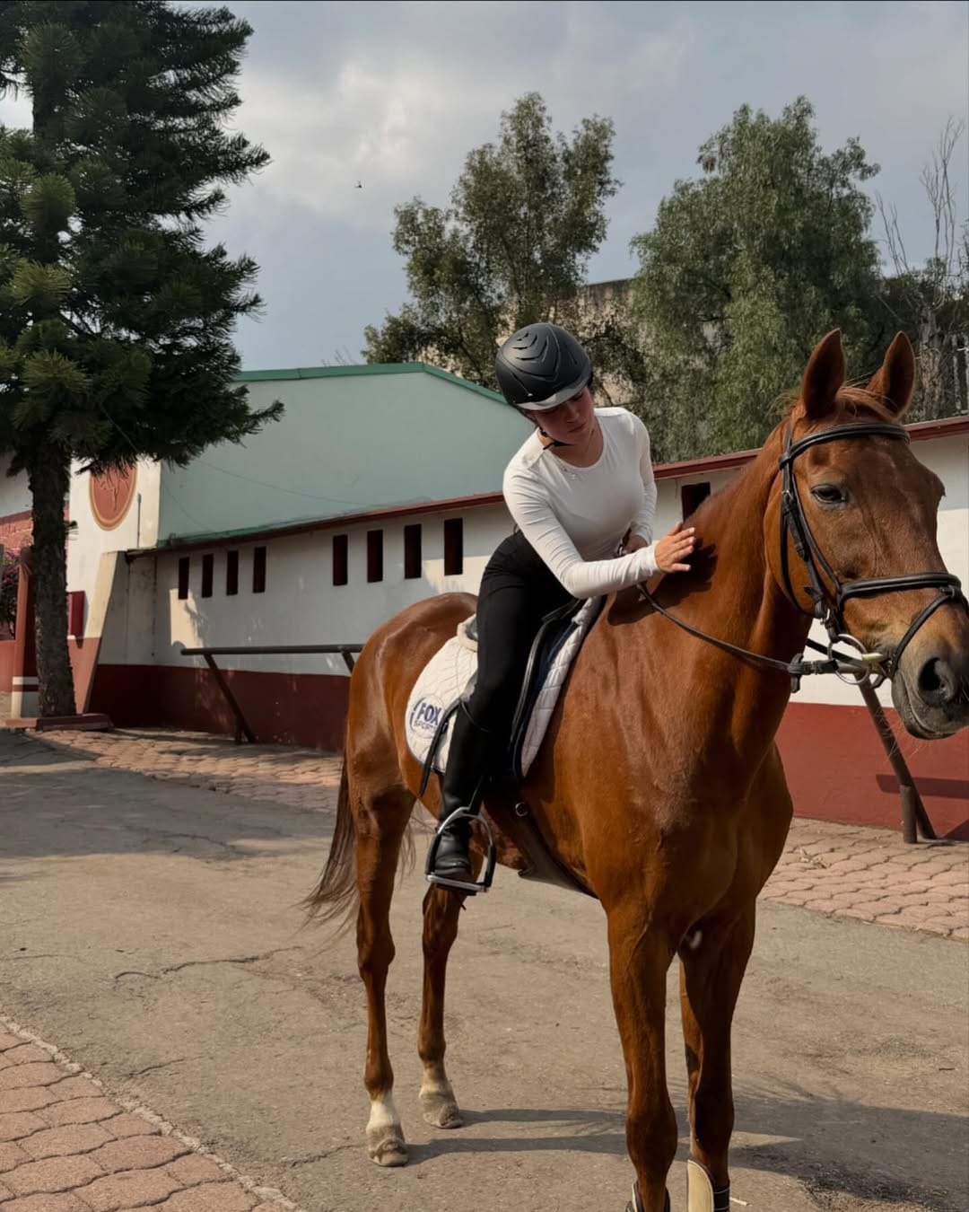 Post 6 by Lizeth Reyes on Instagram (carousel)