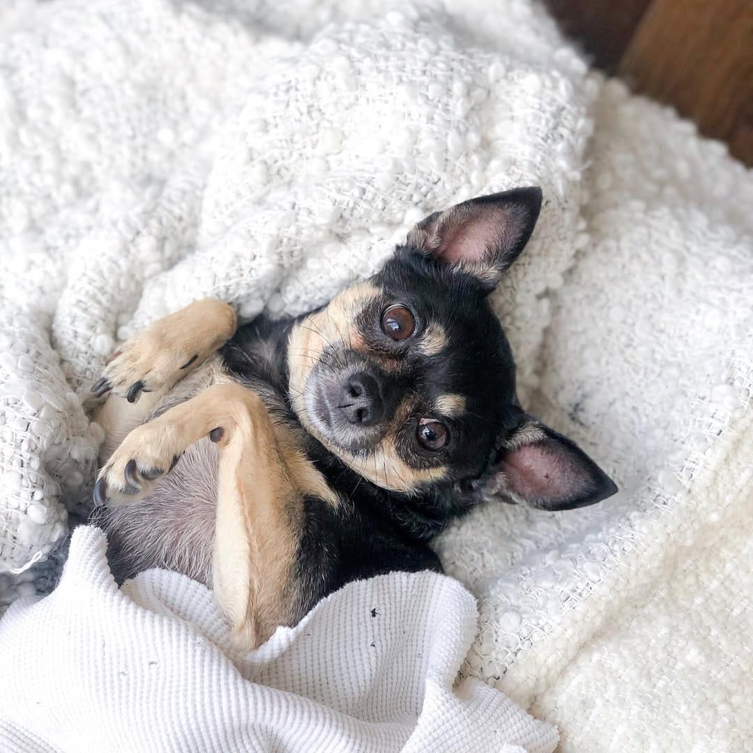Post 5 by ★ Fiona ★ on Instagram (image)