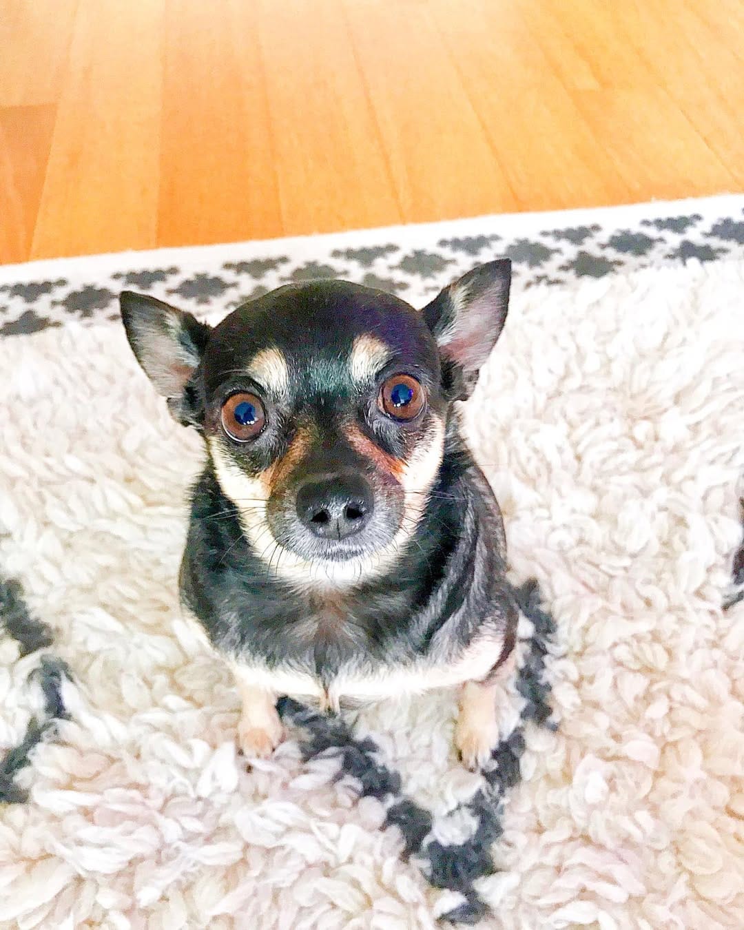 Post 9 by ★ Fiona ★ on Instagram (image)