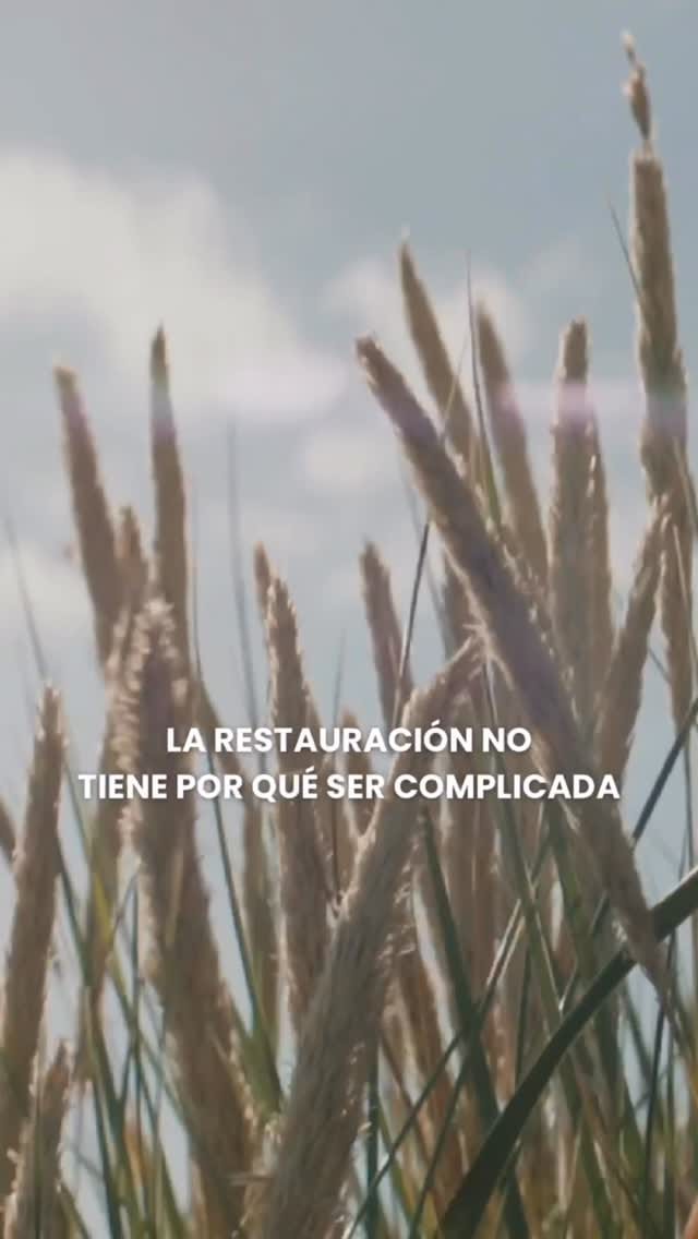 Post 3 by Abeja Orgánica | Biocosmética on Instagram (video)