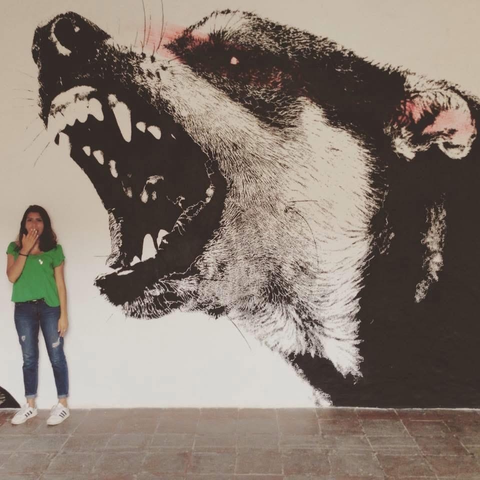 Post 3 by Maricarmen Carballido on Instagram (carousel)