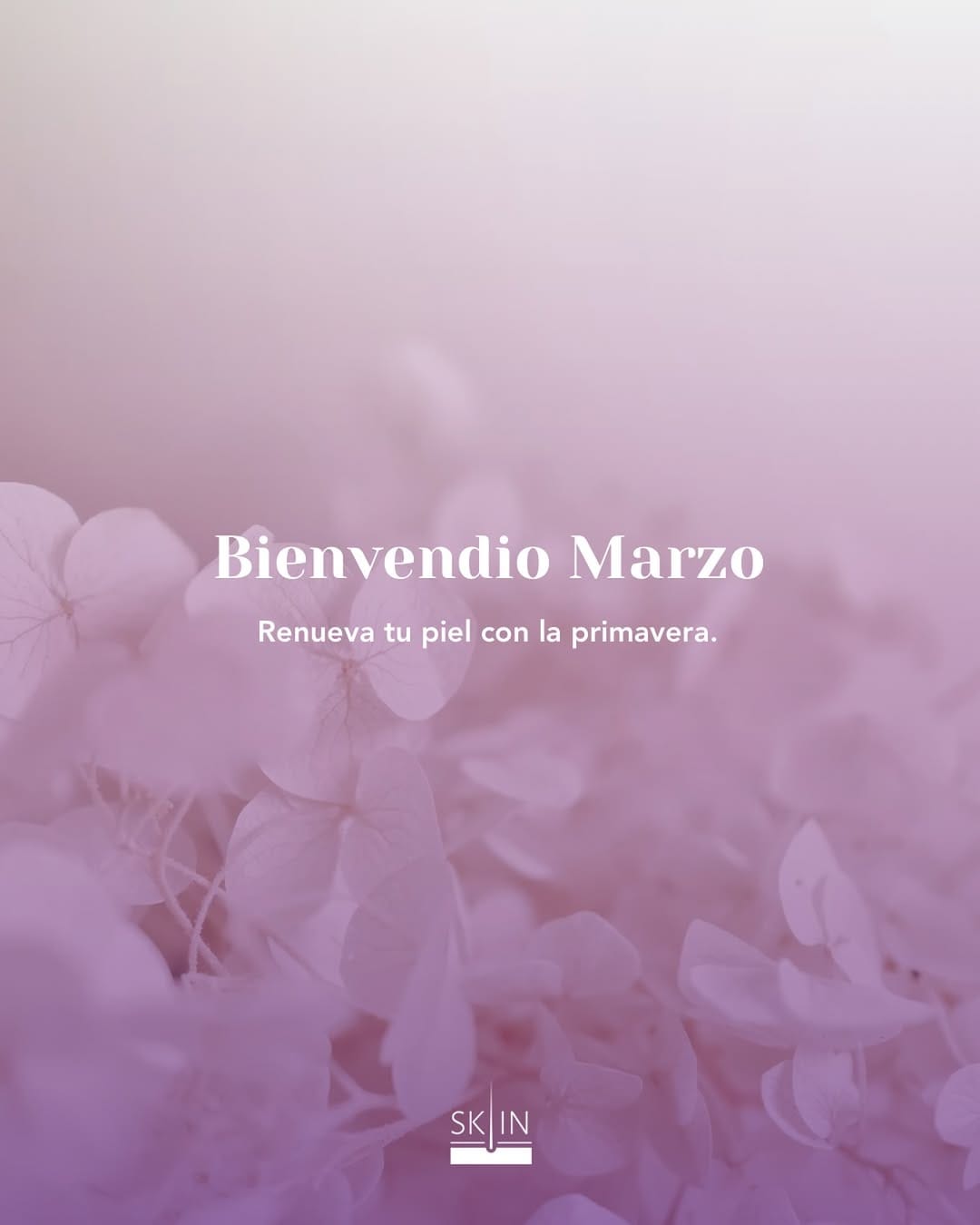 Post 5 by SK•INteligencia Dermatológica on Instagram (image)