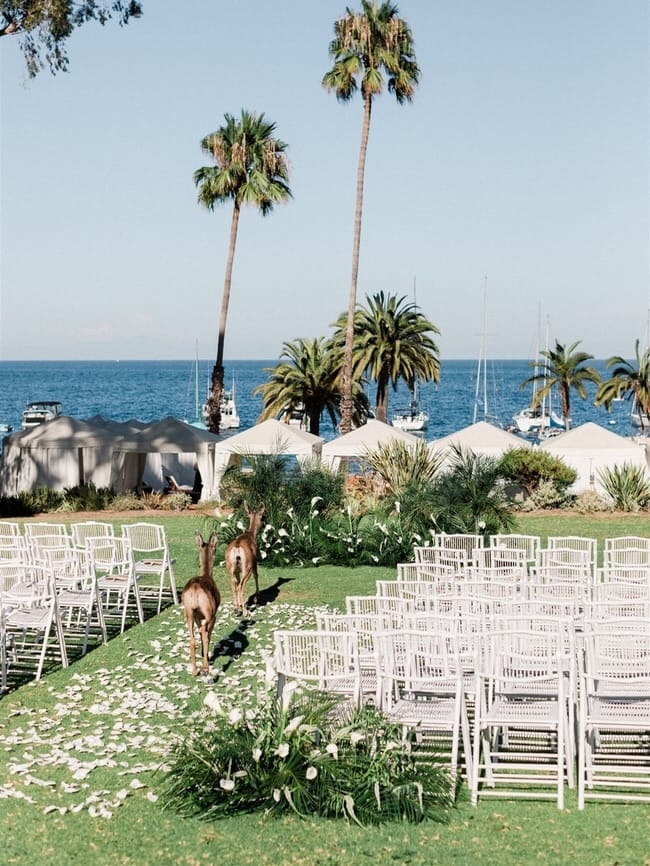 Post 3 by Archive Rentals & Design House on Instagram (carousel)